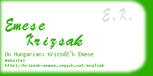 emese krizsak business card